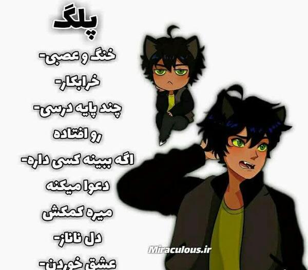 عکس میراکلس ها