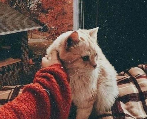 عکس فیک دختر با عینک دودی