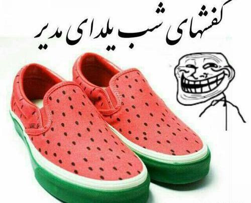 عکس راجب مدیر گروه