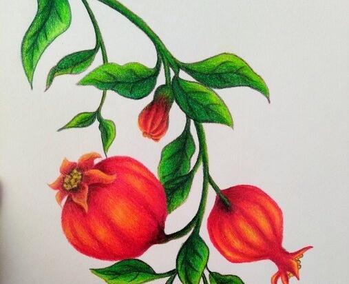 عکس نقاشی گل حرفه ای با مداد