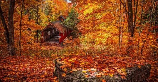 عکس پاییزی برای پروفایل اینستا