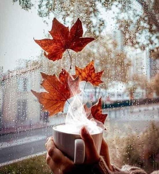 عکس پاییزی برای پروفایل اینستا