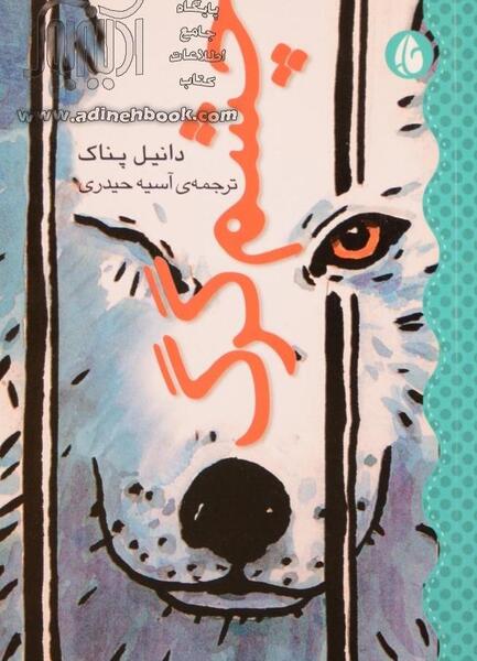 عکس گرگ چشم
