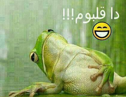 عکس نوشته طنز بختیاری جدید