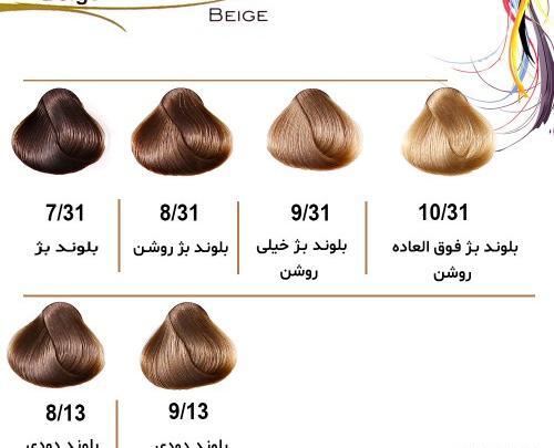عکس ترکیب رنگ بژ و دودی