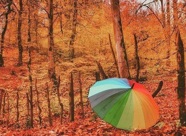 عکسهای زیبای پاییزی جدید