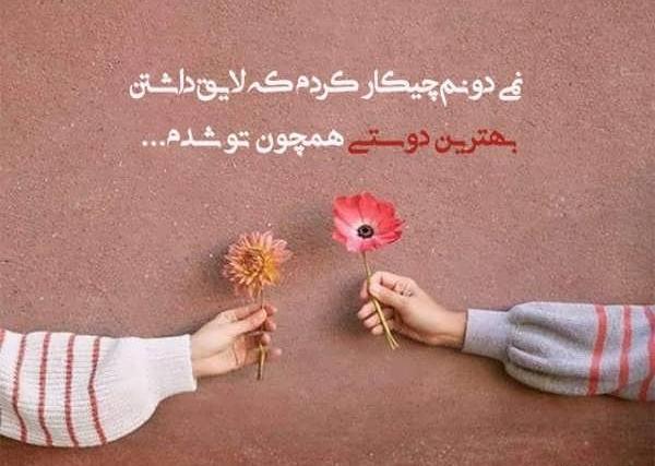 عکس پروفایل رفقای لاکچری