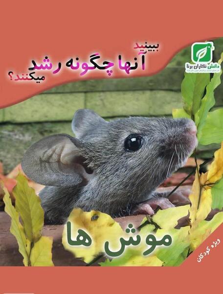 عکس موش ها