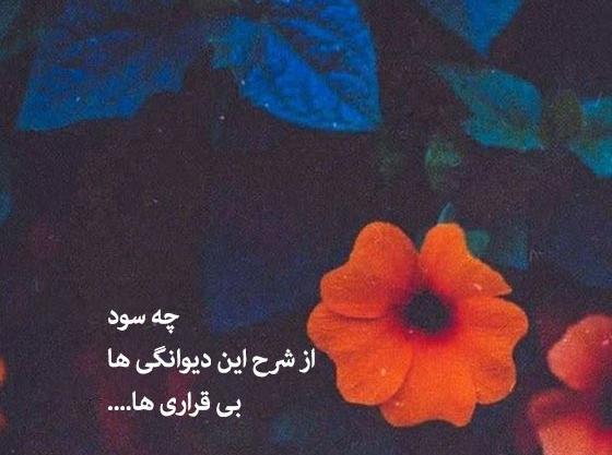 عکس نوشته های اشعار مهدی اخوان ثالث