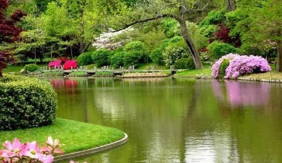 عکس زیبا و عاشقانه طبیعت