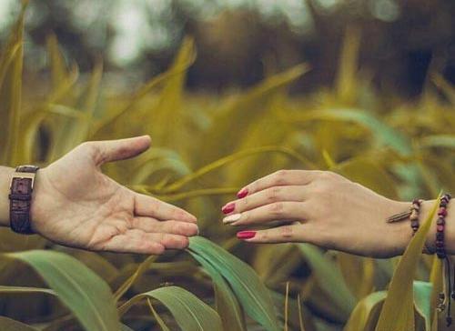 عکس زیبا و عاشقانه طبیعت
