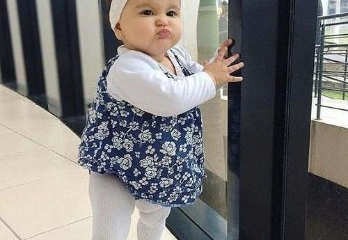 عکس نیلولا