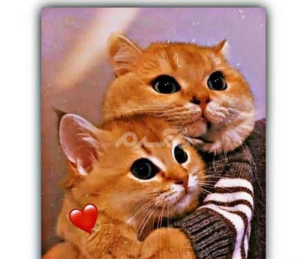 عکس نوشته پروفایل جدید ۱۴۰۱