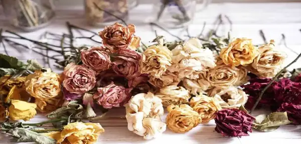عکس ایده برای نگهداری دسته گل عروسی