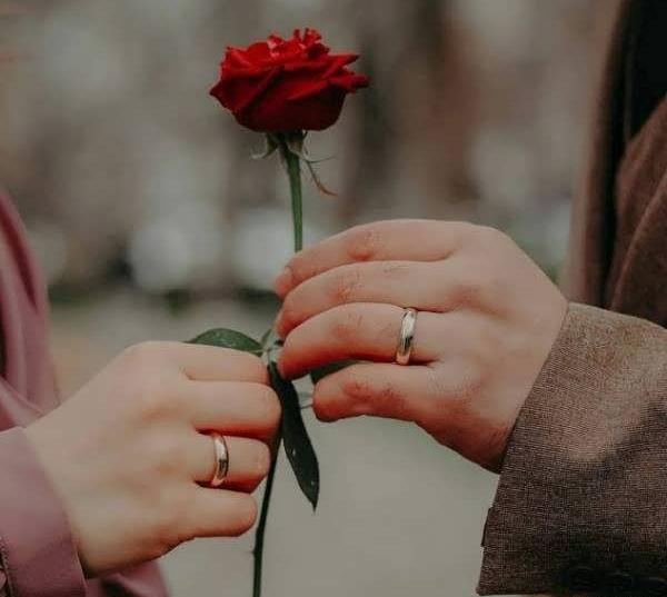 عکس گل برای پروفایل عاشقانه