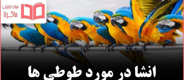 عکس طوطی در قفس کودکانه