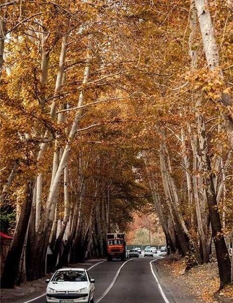 عکس جاده چالوس در پاییز