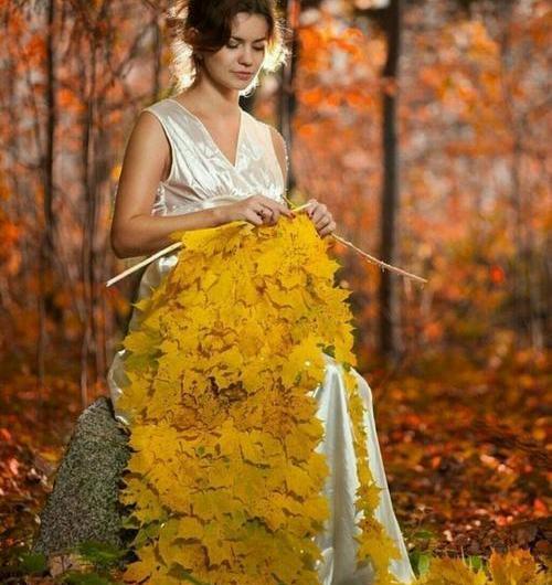 عکس یلدا در پاییز
