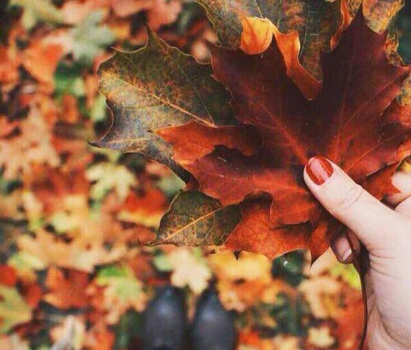 عکس یلدا در پاییز