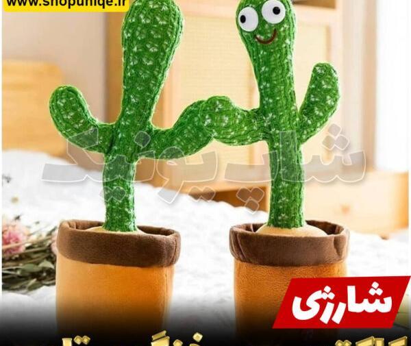 عکس کاکتوس شارژی