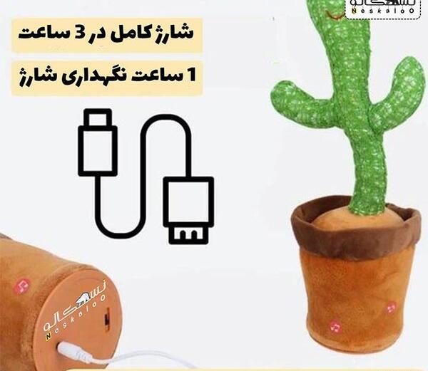 عکس کاکتوس شارژی