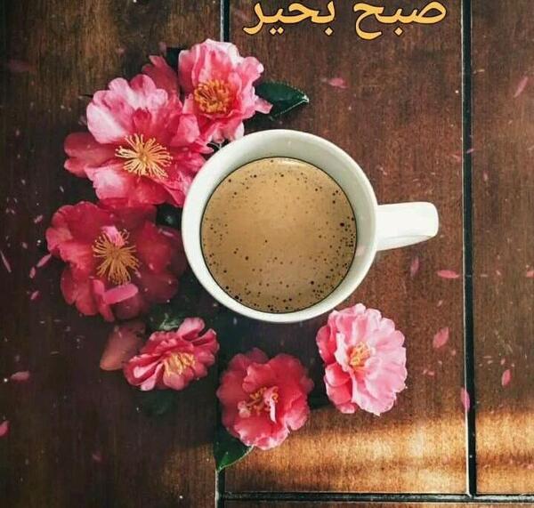 عکس بدون متن صبح بخیر