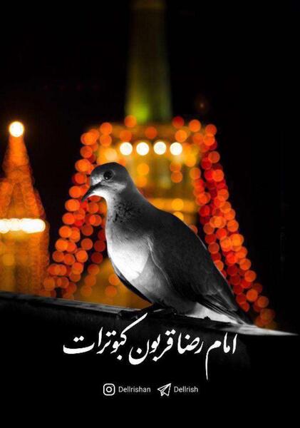 دانلود عکس پروفایل حرم امام رضا
