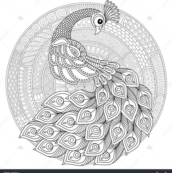 عکس طاووس طراحی شده