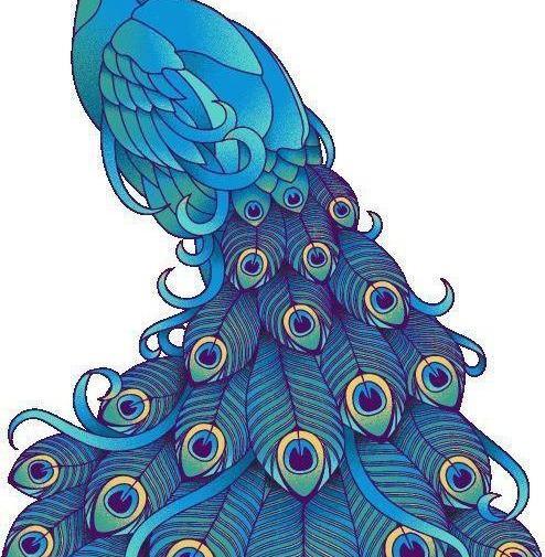 عکس طاووس طراحی شده