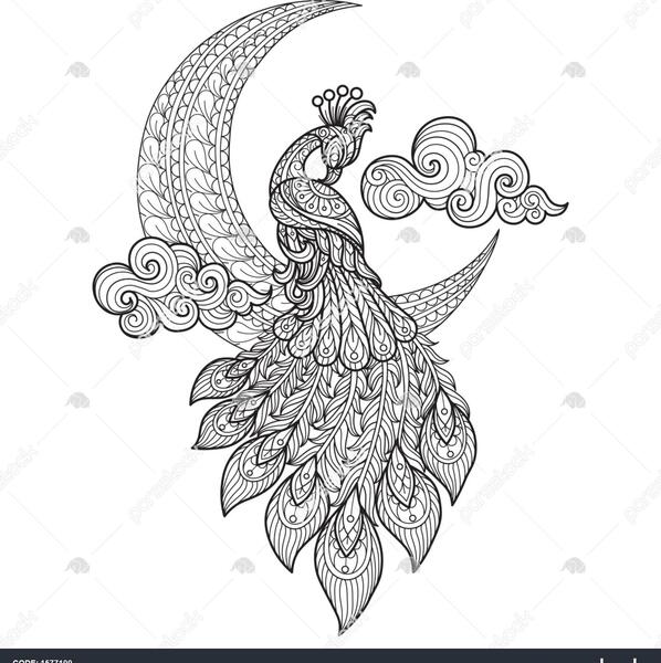 عکس طاووس طراحی شده