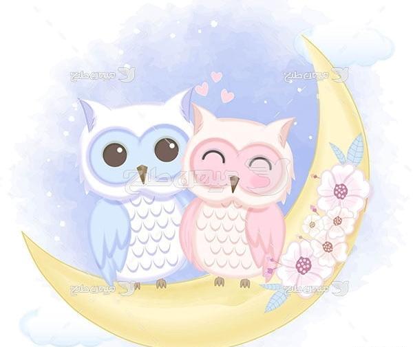 عکس جغد برای نقاشی