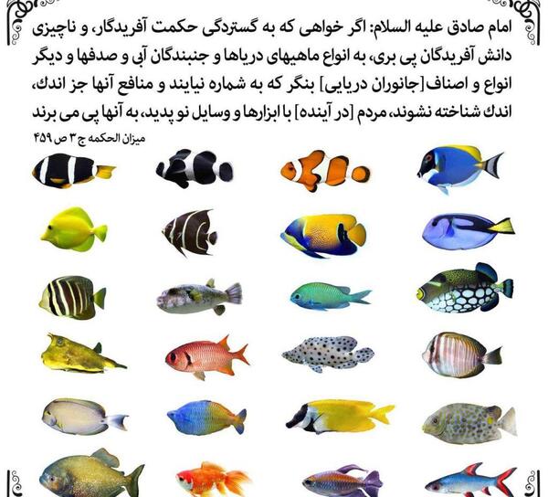 عکس مخصوص فروردین ماهی ها