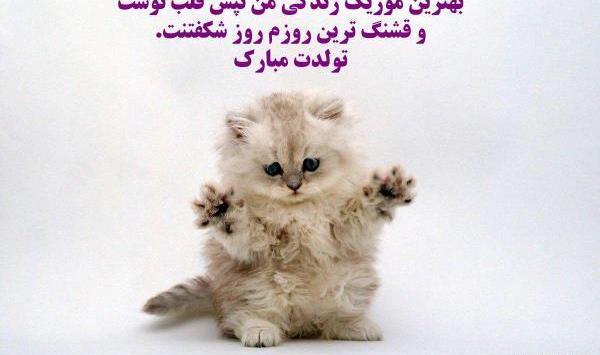 عکس مخصوص فروردین ماهی ها