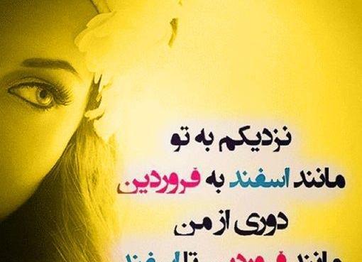 عکس مخصوص فروردین ماهی ها
