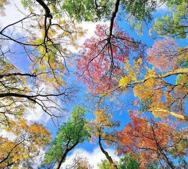 شاد پرانرژی عکس طبیعت برای پروفایل