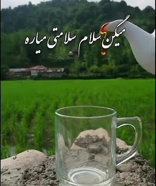 عکس چای خوردن در طبیعت