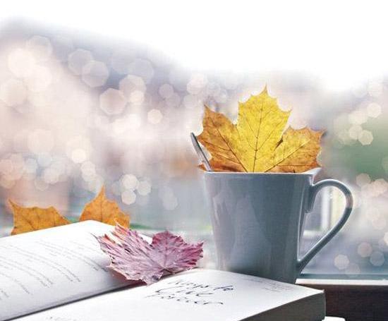 عکس پروفایل کتاب و پاییز