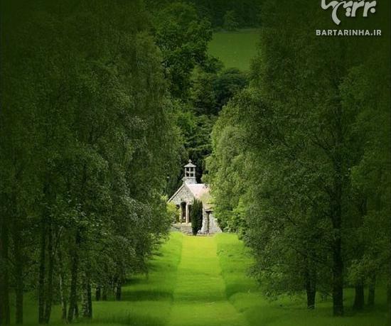 عکس رویای