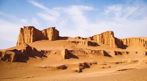عکس پرنده کویر