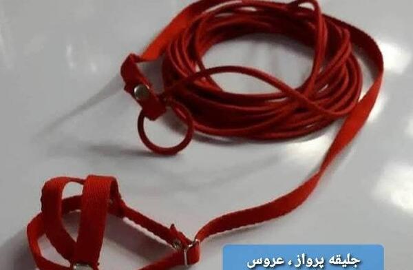 عکس جلیقه عروس هلندی