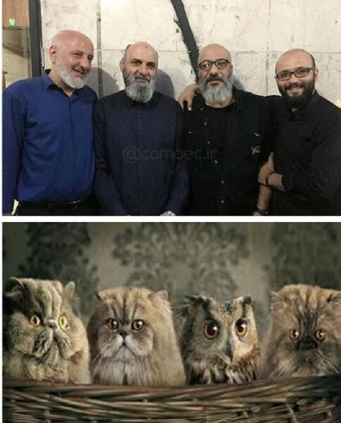 عکس برادران شرلی