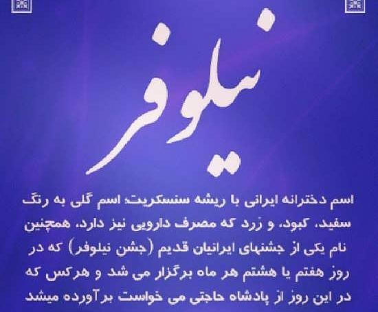 عکس نوشته زیبا نیلوفر