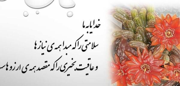 عکس نوشته آرزوی سلامتی برای خانواده