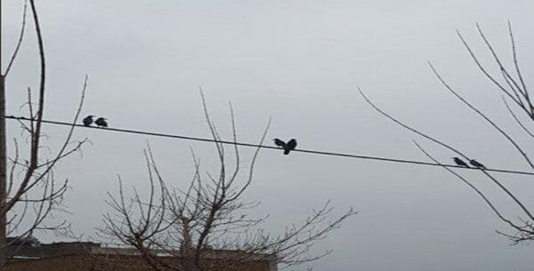 عکس خنده دار دونفره