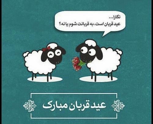 عکس نوشته دار عید قربان