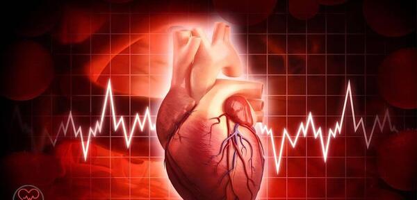 عکس ضربان قلب پایین