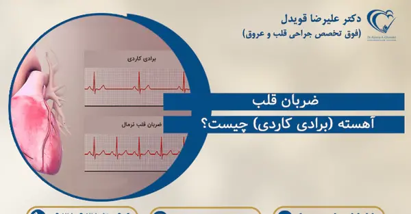 عکس ضربان قلب پایین
