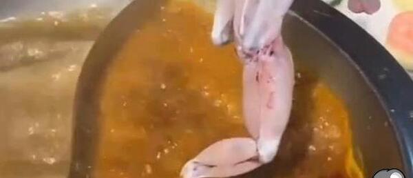 عکس چالش قورباغه