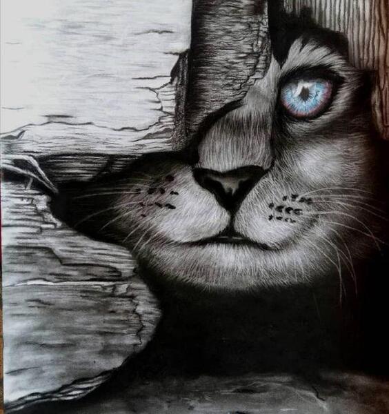 عکس نقاشی سیاه قلم گربه ساده