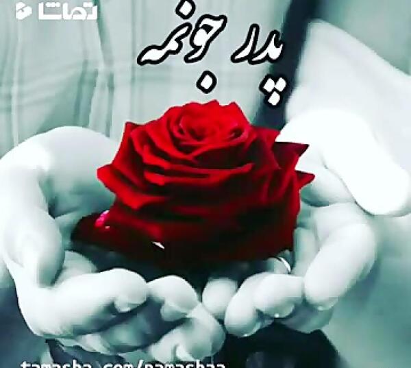 عکس پروفایل بابا جون دوستت دارم